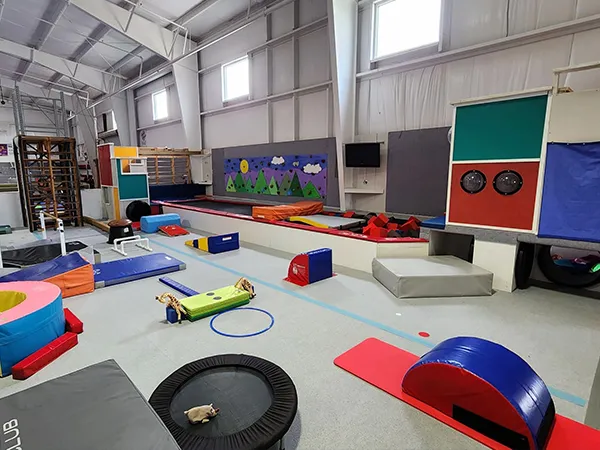 Aplicaciones del embalaje blando de fitness